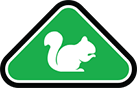 squirrel icon