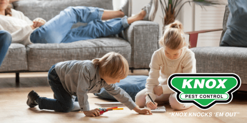Image of kids playing on the carpet