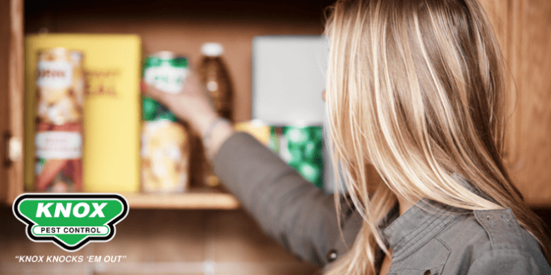 Image of a woman reaching into a pantry for a can