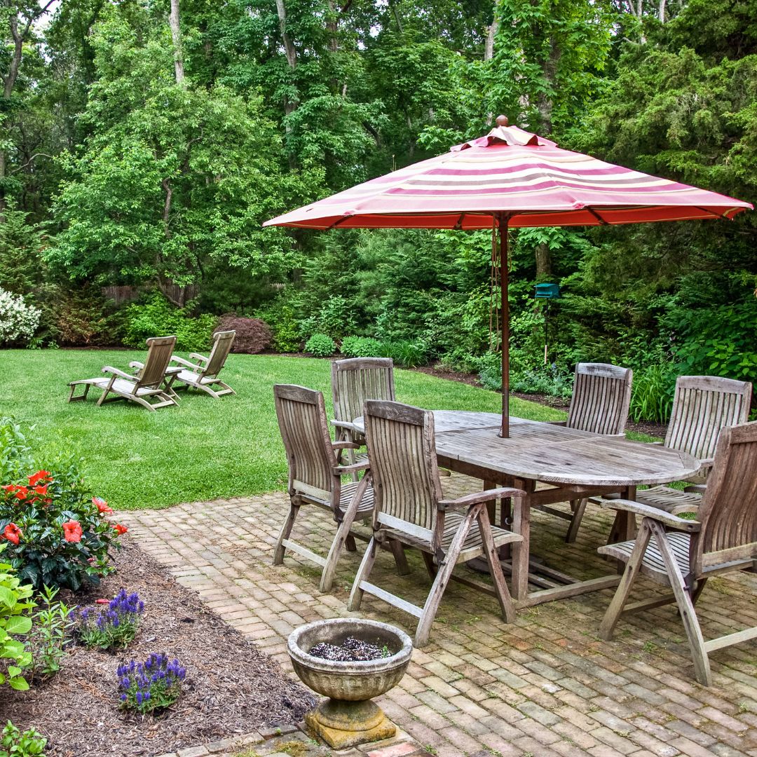 backyard with lots of healthy plants and trees