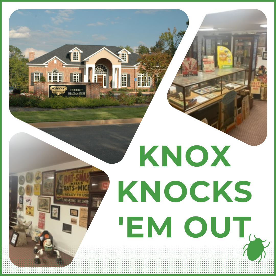 Knox Pest Control Home Page Image