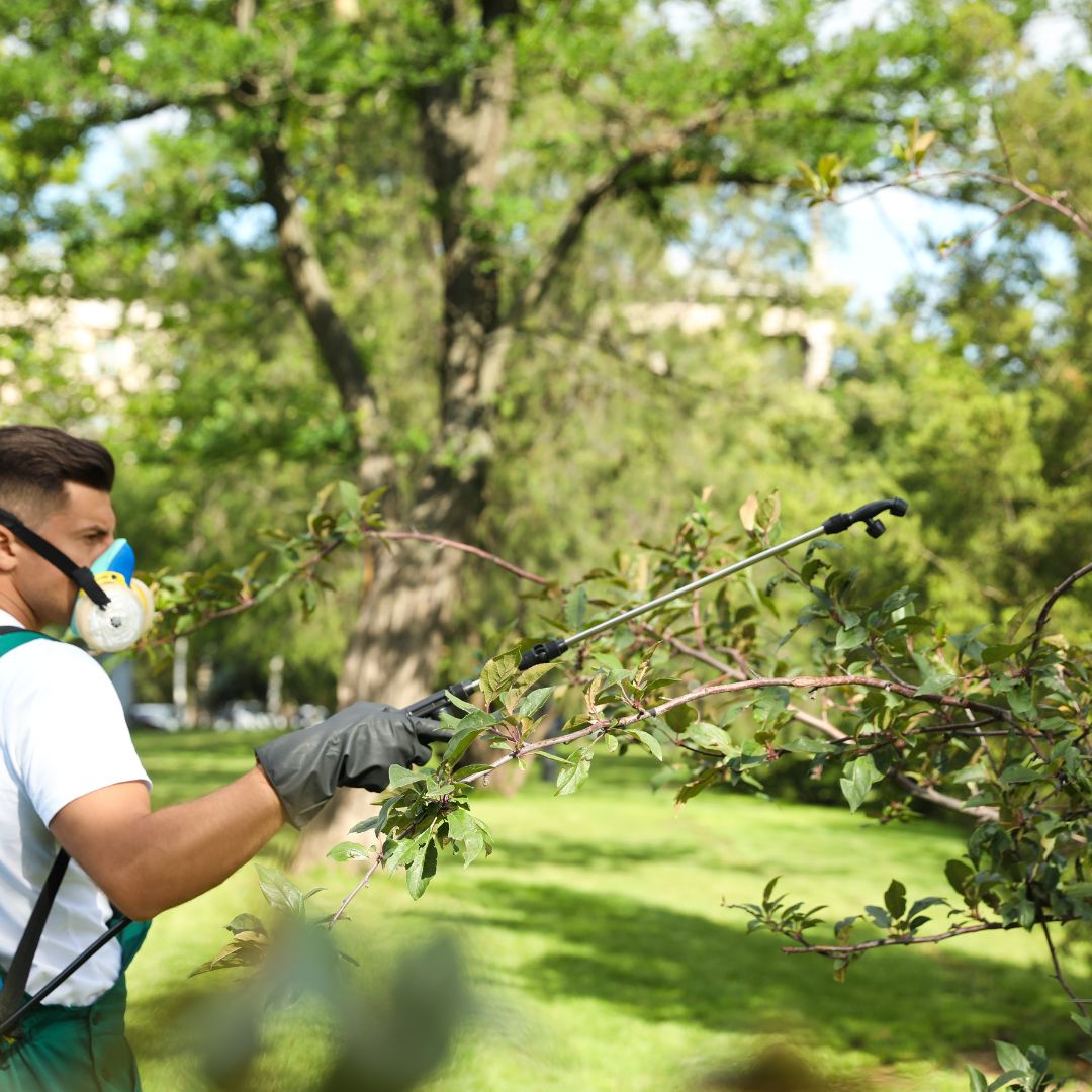 pest control expert