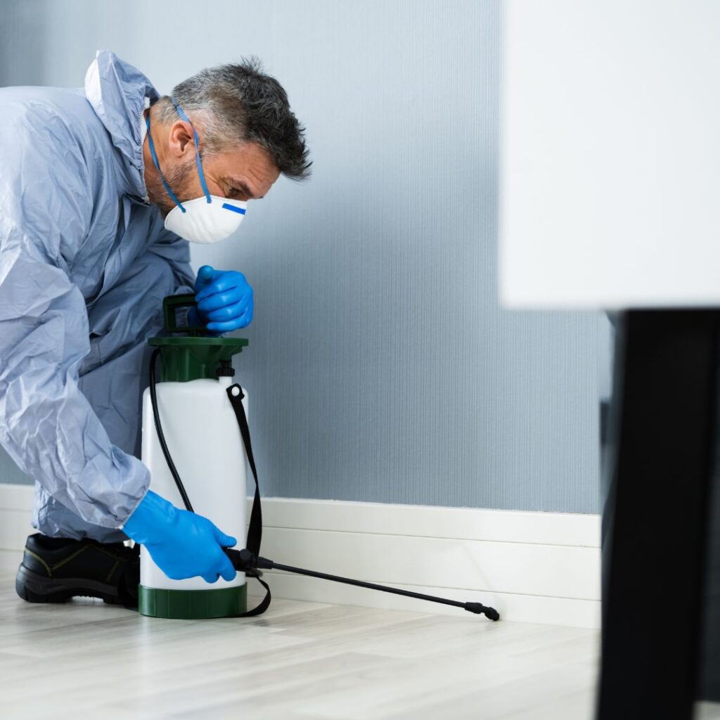 What Makes a Good Exterminator? - Learn More