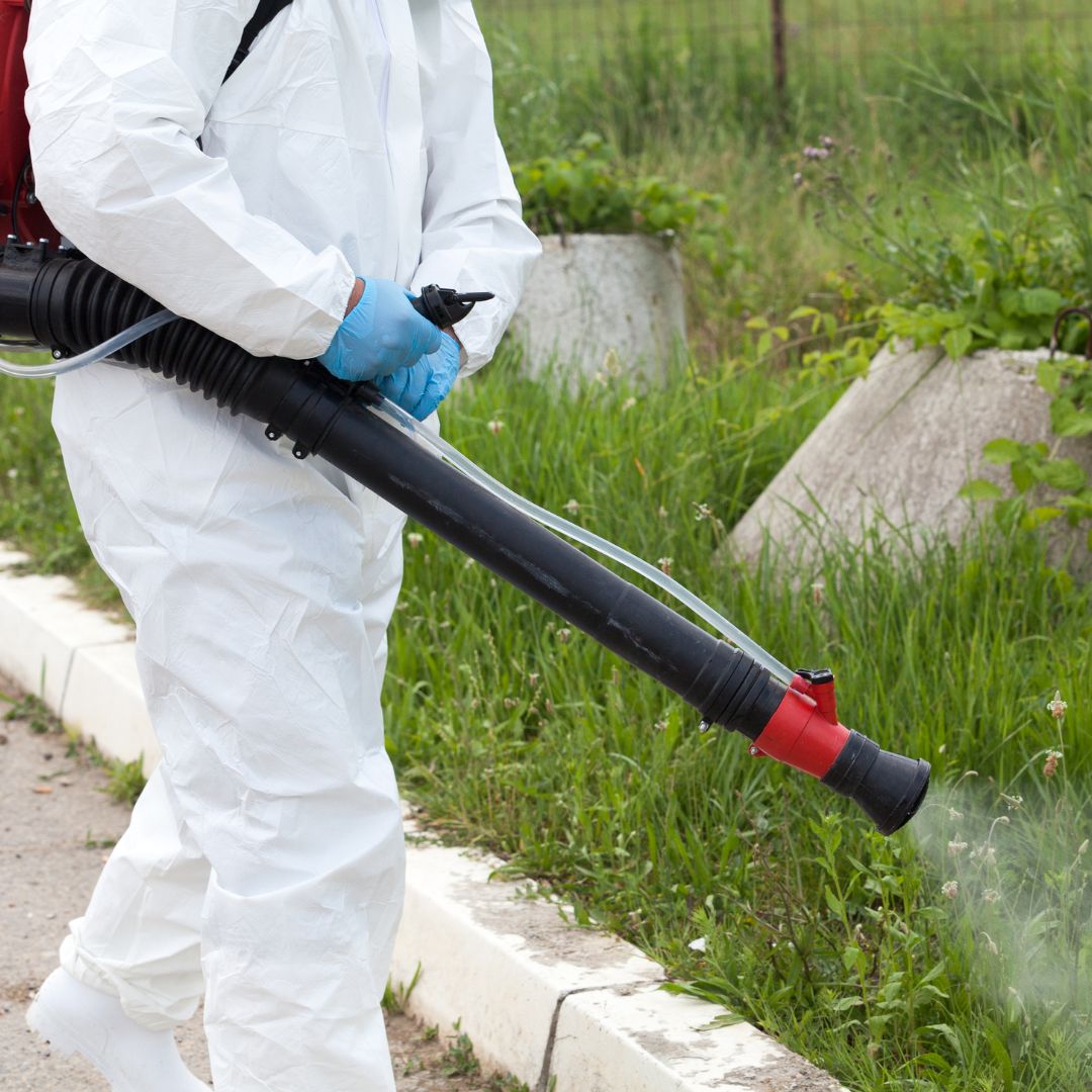 pest control expert spraying yard