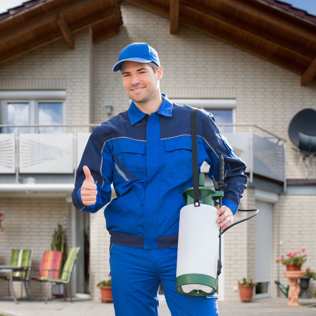 expert pest control technician
