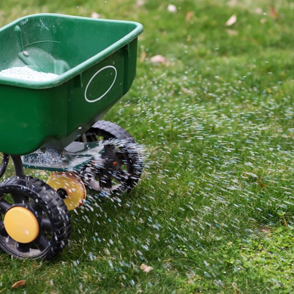 Lawn Fertilization - Image 3