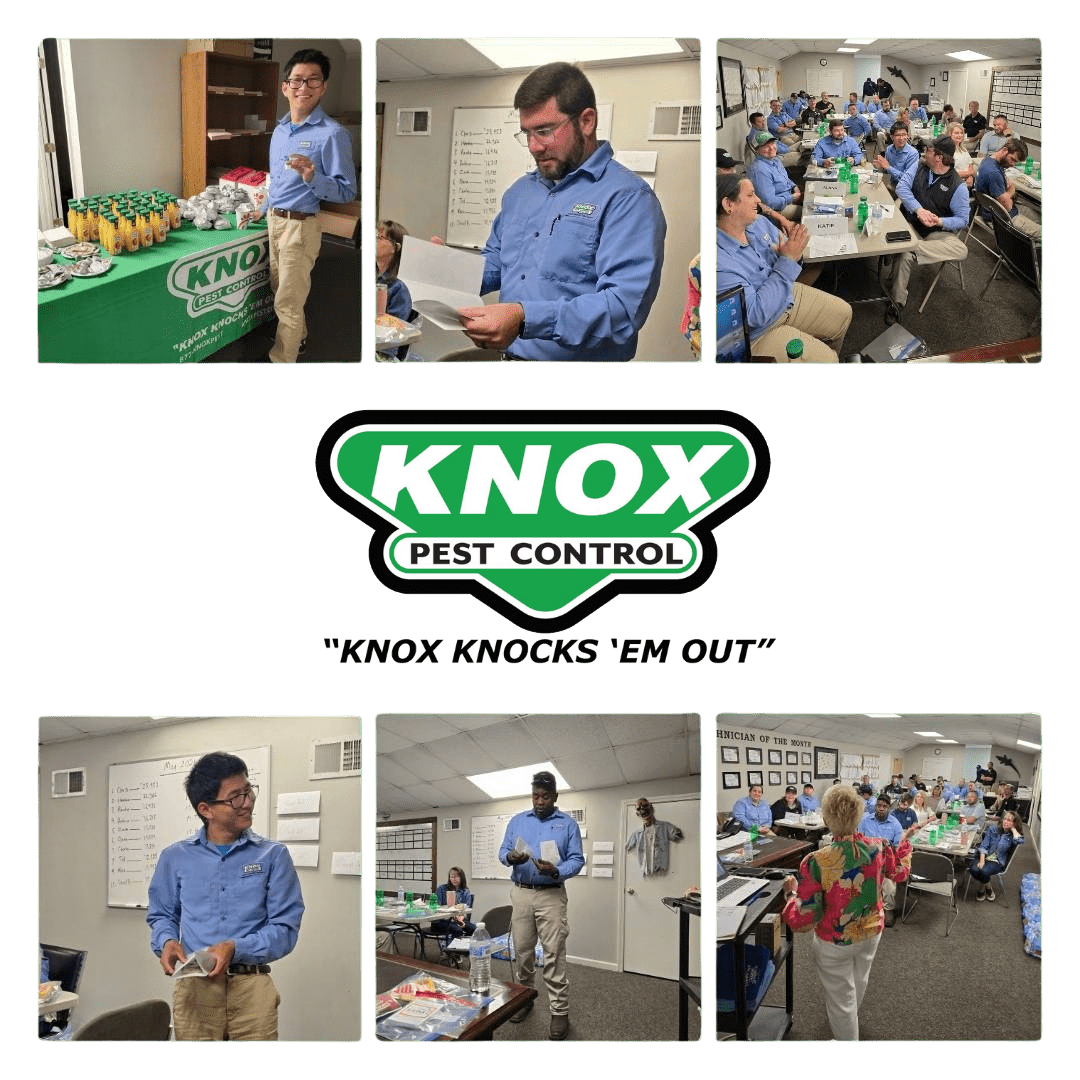 Ongoing Career growth and training (2)