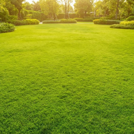 Brown Patch and Dollar Spot - Featured Image
