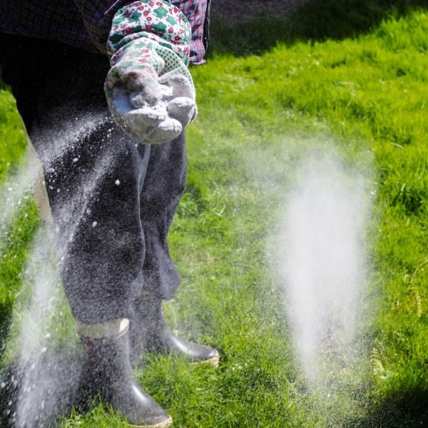 Lawn Fertilization Columbus - Image 1