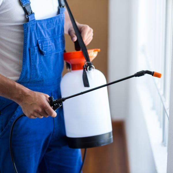 M25091 - Page Build - Pest Control Atlanta - Atlanta - PEST CONTROL ICON
