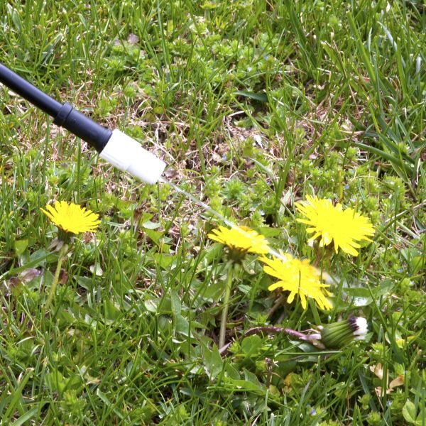 Weed Control - Image 7